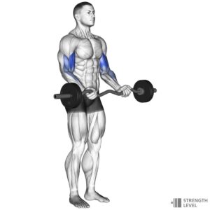 EZ curl bar